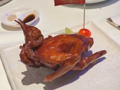 -侨美食家·40年地道粤菜(珠江新城店)
