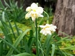 -共青国家森林公园-售票处