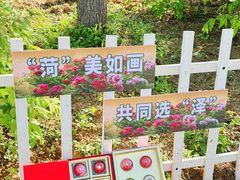 -曹州牡丹园