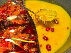 -朱光玉火锅馆(正弘城店)