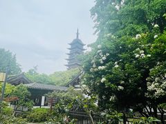 -常熟方塔园
