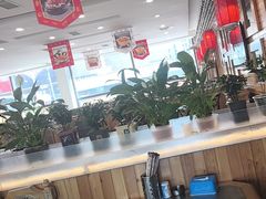 -大清花饺子(山庄店)
