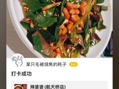 -辣婆婆(航天桥店)