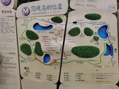 -嵖岈山风景区