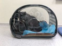 -美联众合动物医院·24h京西诊疗中心