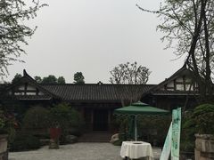 -秀丽东方