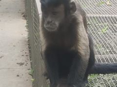 -辛玛王国游乐园