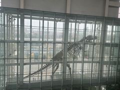 -吉林省自然博物馆
