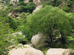 -碓臼峪自然风景区