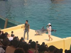 -秦皇岛乐岛海洋王国