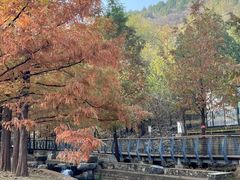 -白水寺森林公园