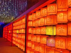 -龙湾潭国家森林公园