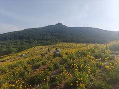 -佛慧山