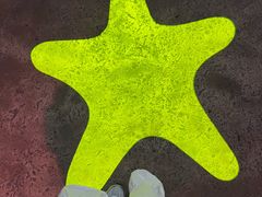 -沈阳海洋探索中心