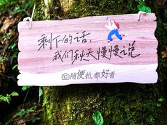 -龙苍沟森林公园