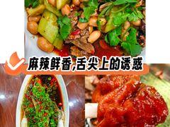 -三锅莊·牦牛肉火锅·香格里拉特色藏餐宴请餐厅(菱角塘路店)