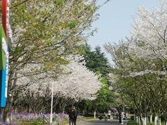 -白塘生态植物园