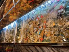 -雍容荟帝王蟹活龙虾展台自助(IFS黑金店)