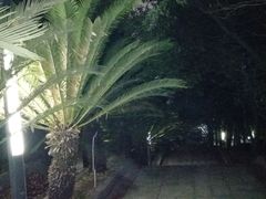 -重庆平顶山公园