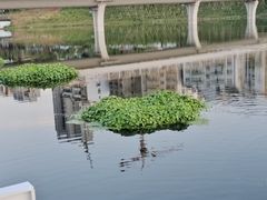 -宜昌富力皇冠假日酒店·咖啡1号西餐厅