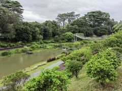 -东莞植物园