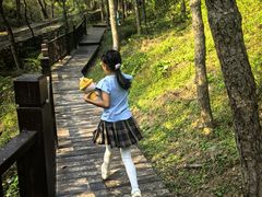 -北京十三陵国家森林公园蟒山景区