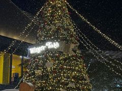 -东莞松山湖万象汇