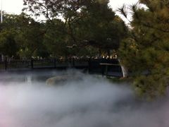 名树园-名树园