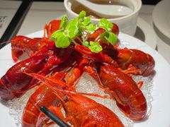酒渍小龙虾-觀芷隐轩