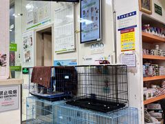 -瑞鹏宠物医院·微创内窥镜·骨外科·牙科(翠竹分院)