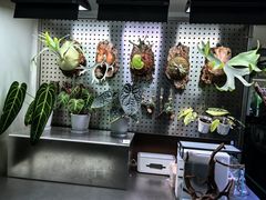 -ADA自然水景世界