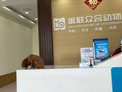-美联众合动物医院·内科·皮肤科·外科(古城分院)