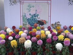 -北海公园