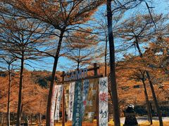 -田野绿世界
