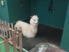 -凯德广场(埃德蒙顿路店)