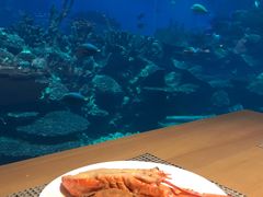 -海棠湾洲际-涛·海底餐厅·美人鱼·自助餐·海底隧道