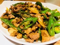 -滇铺子·云南特色菜·第九届野生菌美食节(东风东路c86店)