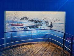 -海合安青岛极地海洋公园