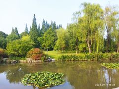 -习家池