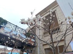 -王府井奥莱临潼小镇(临潼店)