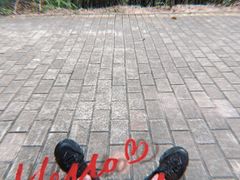 -滴水岩森林公园