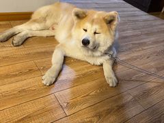 -YCHL Studios健身工作室(市二宫店)