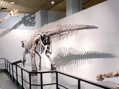 -大连自然博物馆·地球展厅