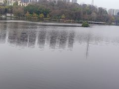 -重庆彩云湖湿地公园