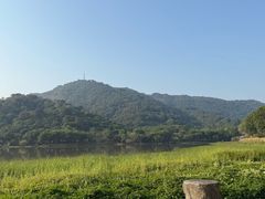-风云岭森林公园