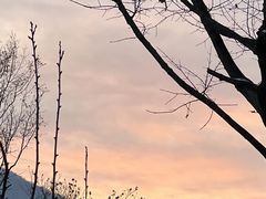 -中旅松花湖滑雪场