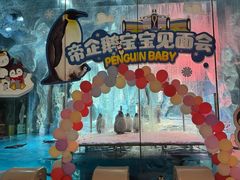 -帝企鹅自助餐厅•儿童岛•真企鹅(长隆企鹅酒店)