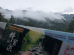 -牛背梁国家森林公园