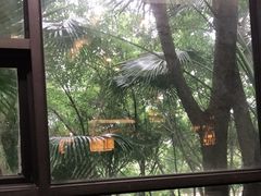 -巴山一绝烤全羊(三圣乡刘家花园店)
