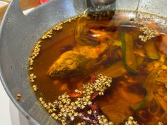 -蜀阳餐厅·金牌水煮鱼